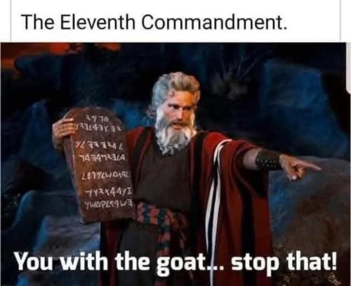 image_635CBC2C-D954-43CE-8910-DBCFAF37665A