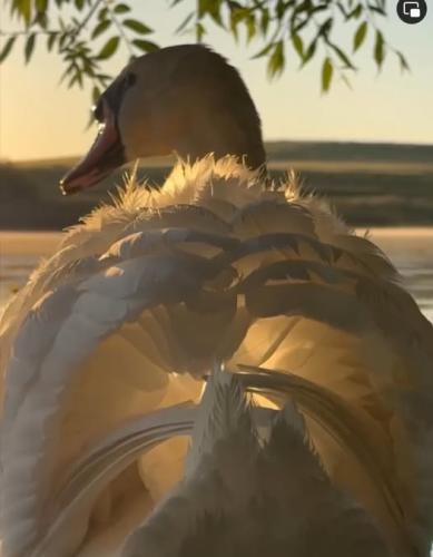 653220976_34294003483578243_7702486570117400366_n