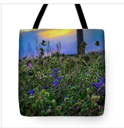 Screenshot_20260324_181726_Brave