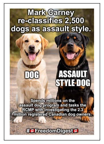 reclasify dogs