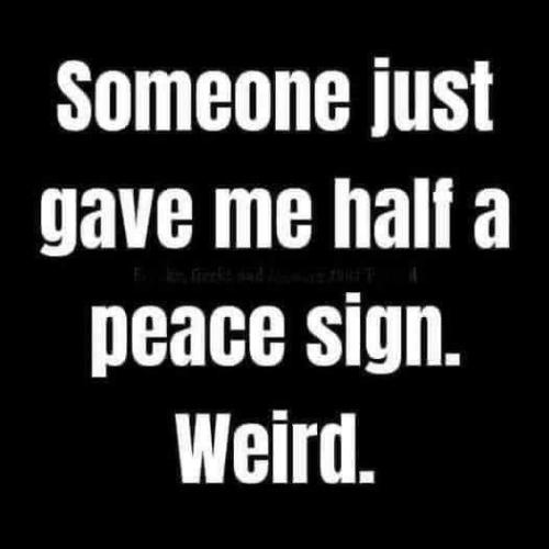 572771dfd8e58ba7220fb1c8259ba16e