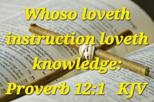 c38a5e94-2525-4c4f-899a-6a13c6ab5c58