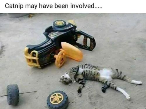 7fbd7536-51c6-4226-abe8-752dc9e9a40c