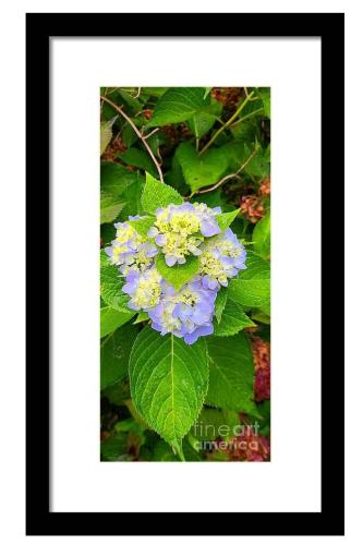 Screenshot_20260330_140900_Brave