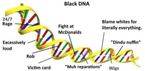 Screenshot_20260320-180558_Ecosia