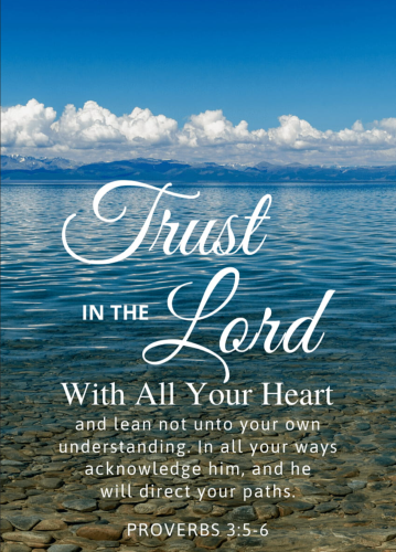 Screenshot_20260315-160346-071