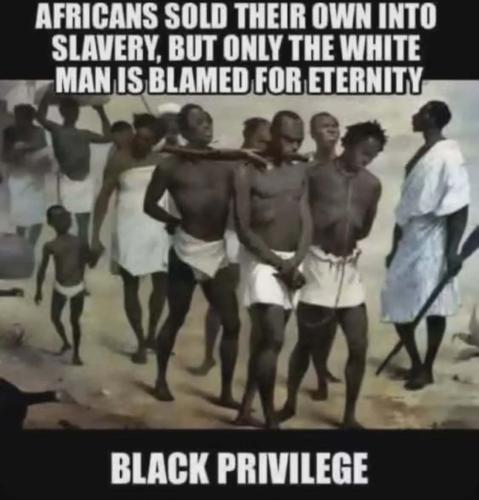 IMG_20260322_142256_374