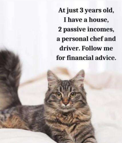 651191262_27094440110143423_5364693587748624481_n