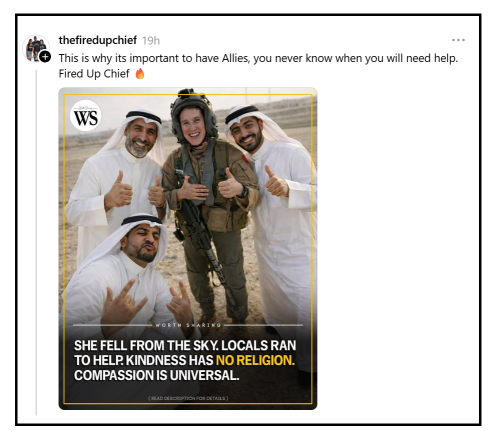 this is why you have allies