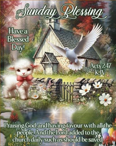 652254508_1237962341884340_5030669812639727275_n