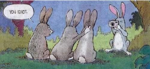 Screenshot_20260329_090900_Gallery