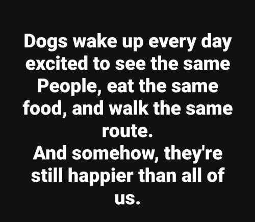 Screenshot_20260207_121715_Facebook