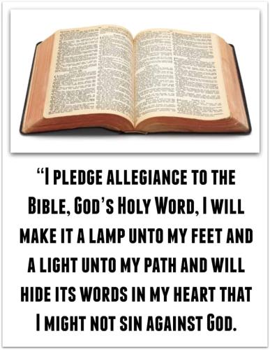 pledge to bible 4