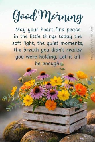 658141018_1551295436769010_9105691874266954404_n