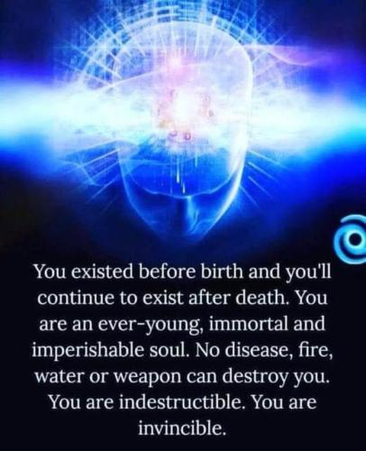 ,      ,             BdX7M1JO