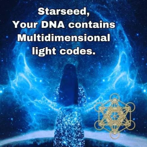 ,                             ,    ,