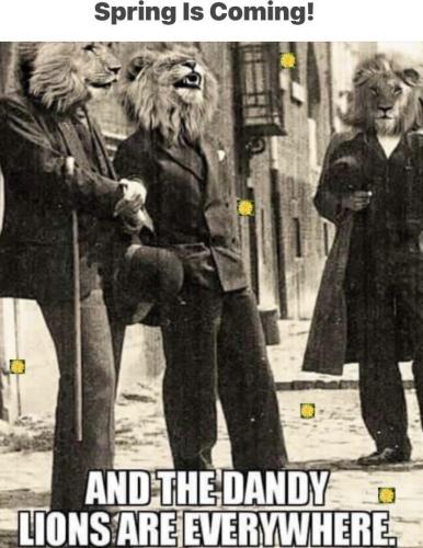 image_B253DC03-8523-4208-8022-A57B40B31F9E