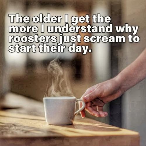 649728824_863810166686349_2920051120111163711_n