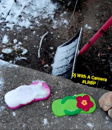 Screenshot_20260228_064019_Gallery