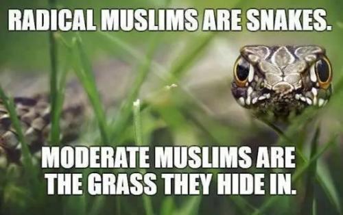 03:28:00 GMT-0500 (CDT)