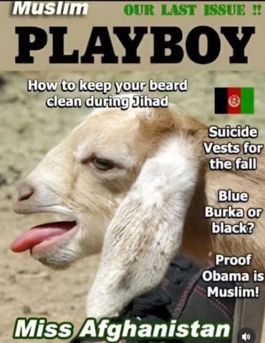 Screenshot_20260323_194826_Instagram