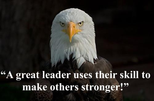 1-Great Leader Skill