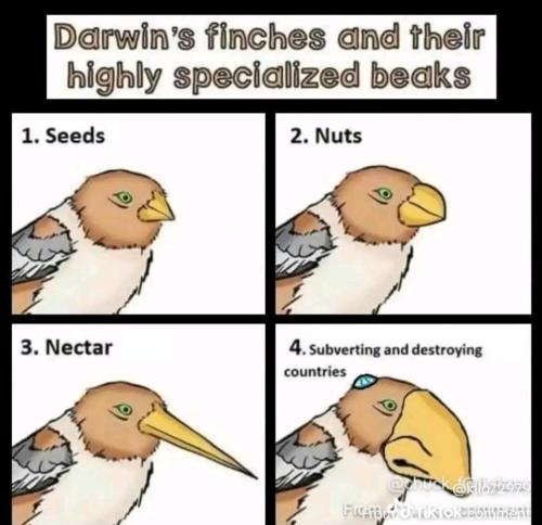 Screenshot_20260312_175509_TikTok