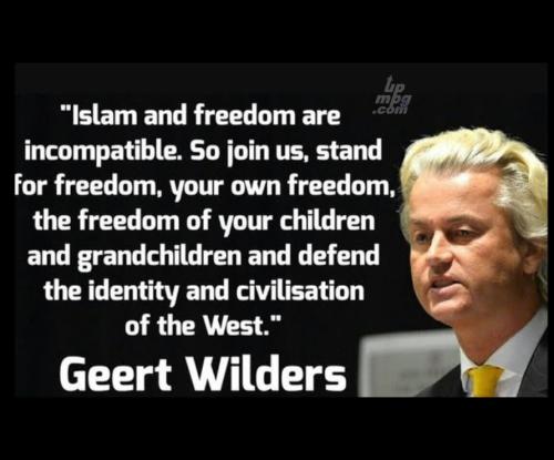 z-main-qimg-f41692c6c2d12ab3359536cc1aefa153