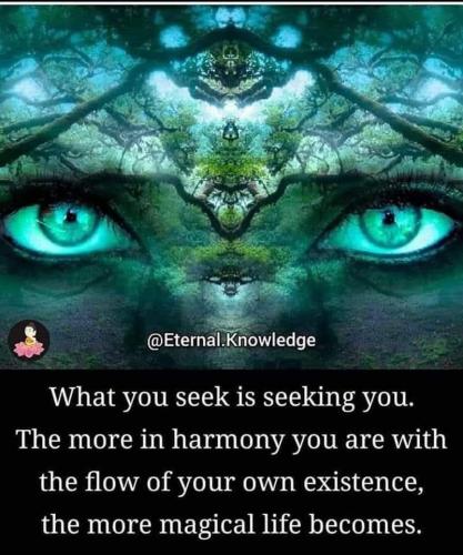 ,      ,             BdX7M1JO