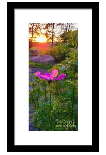 Screenshot_20260303_181444_Brave