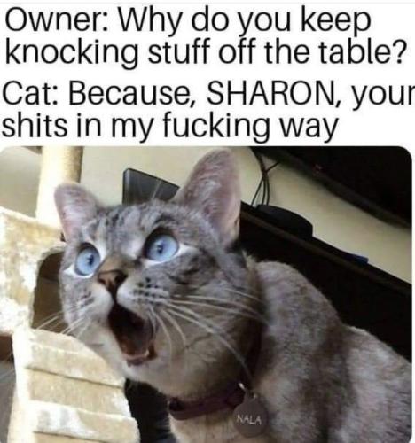 185614c8a9e98ab6fd81c601a33ab562