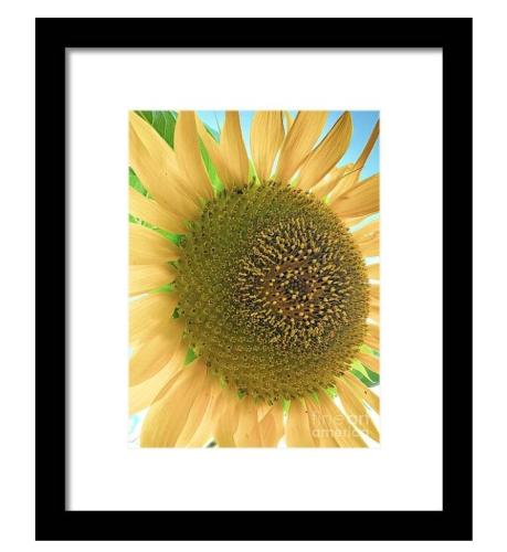 Screenshot_20260307_155135_Brave