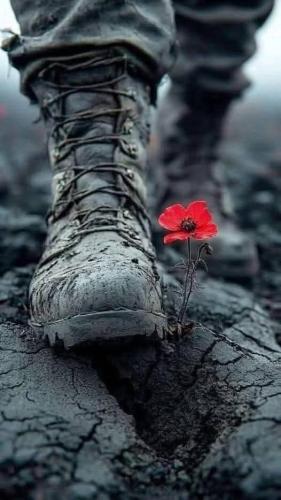 651932990_1912133093523548_4703979358337558261_n