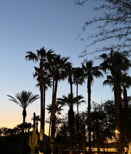 D20714B6-9C75-4863-B7B5-F60FC836BFC4