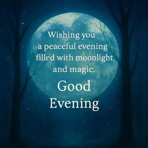 55ce352fb69d2e9c7caa24cd70d9f75e