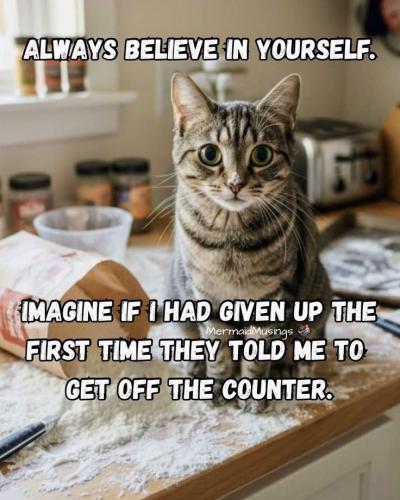 4029b1243e9a8f8ca8c88db05f036481