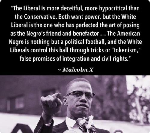 malcolm x white dems