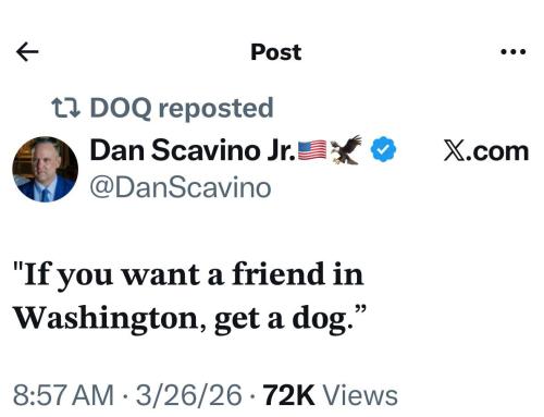 IMG_20260326_144349_766