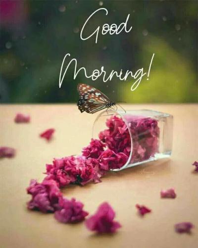 bff551278821000ea2c5f9643430e238