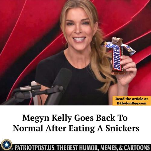 01KKY08SR7QVVFFV402D421979