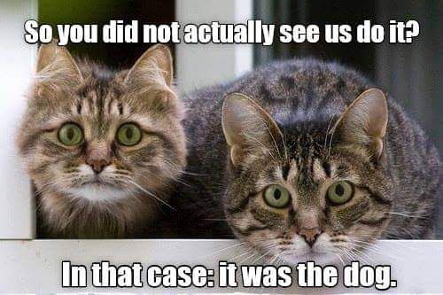 8819054fcb7dc46b5cffebd0dec0526d