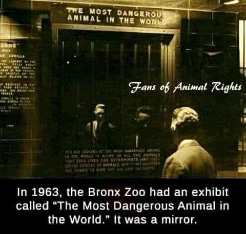 FB_IMG_1773719284800