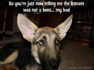 7745b81401a2d4bdd3d58c2b755c4512