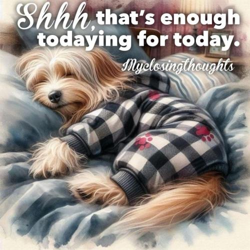 904155f1423395cb1b2affece71c92c9