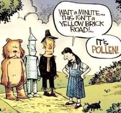 UkijBUvgeiAtbJSTzJZ5_20_5fe61e29c22ca736f5eefc0737e9800a_image