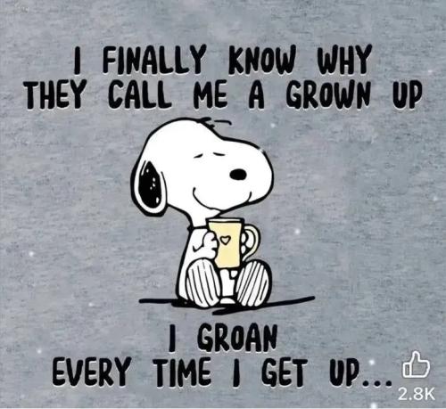 img_rsz__1100x1100 (14)