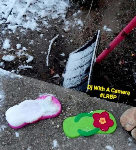 Screenshot_20260326_070916_Gallery