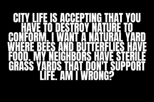 ZomboMeme 19032026002703