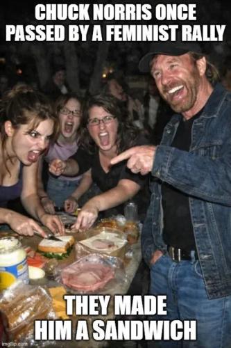 chuck-norris-feminist-rally