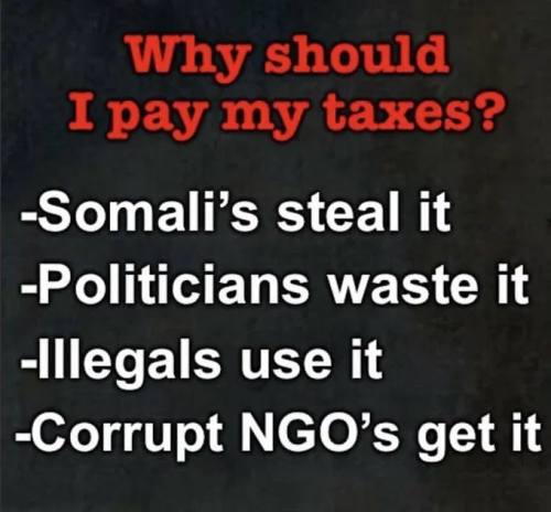 Why pay taxes